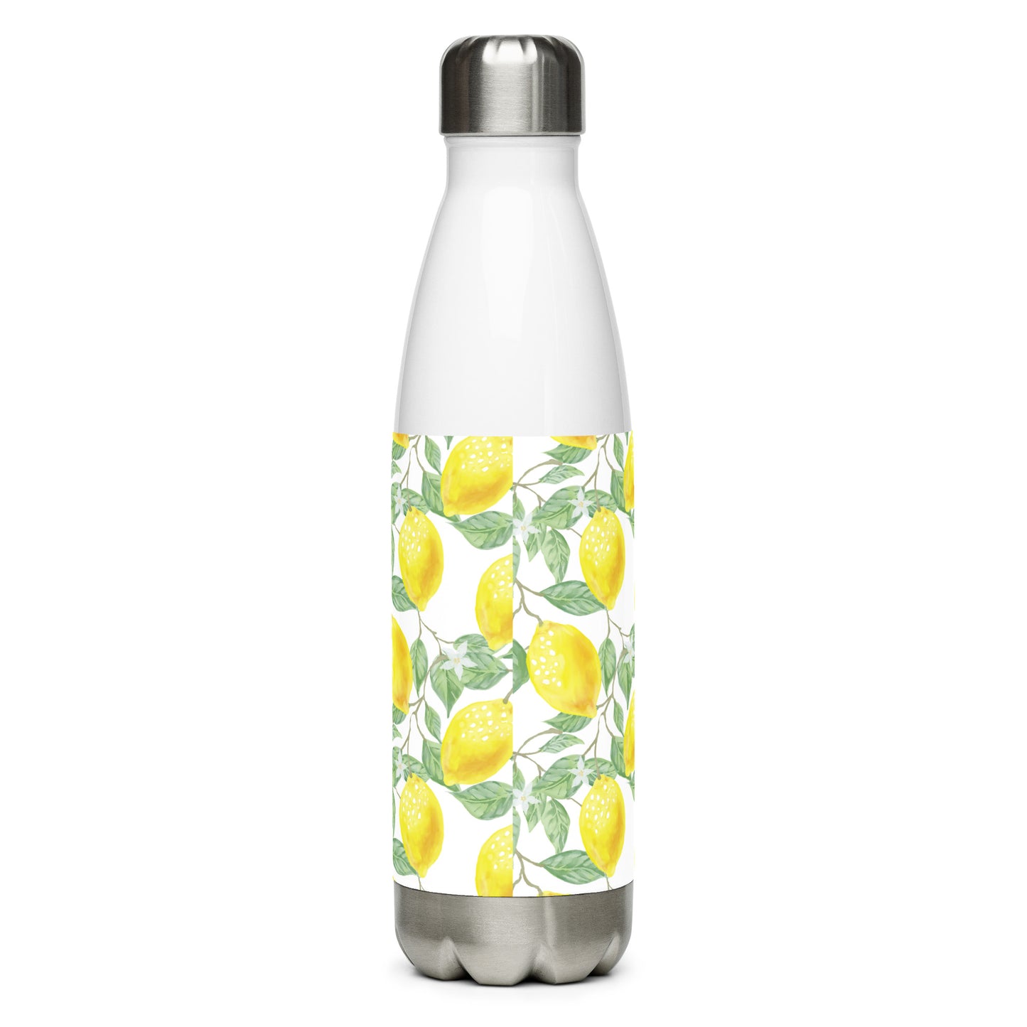 Stainless steel water bottle