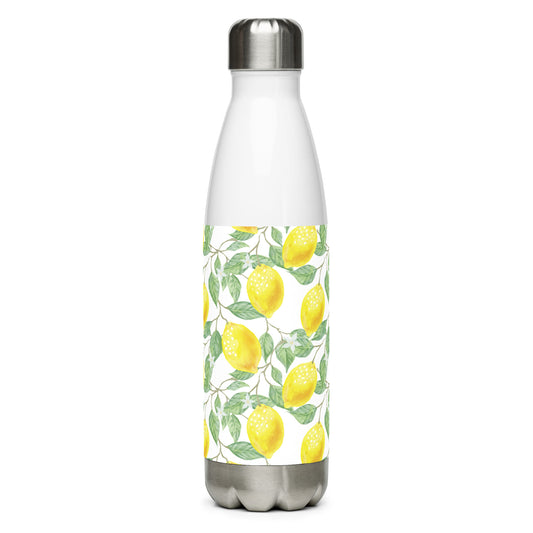 Stainless steel water bottle