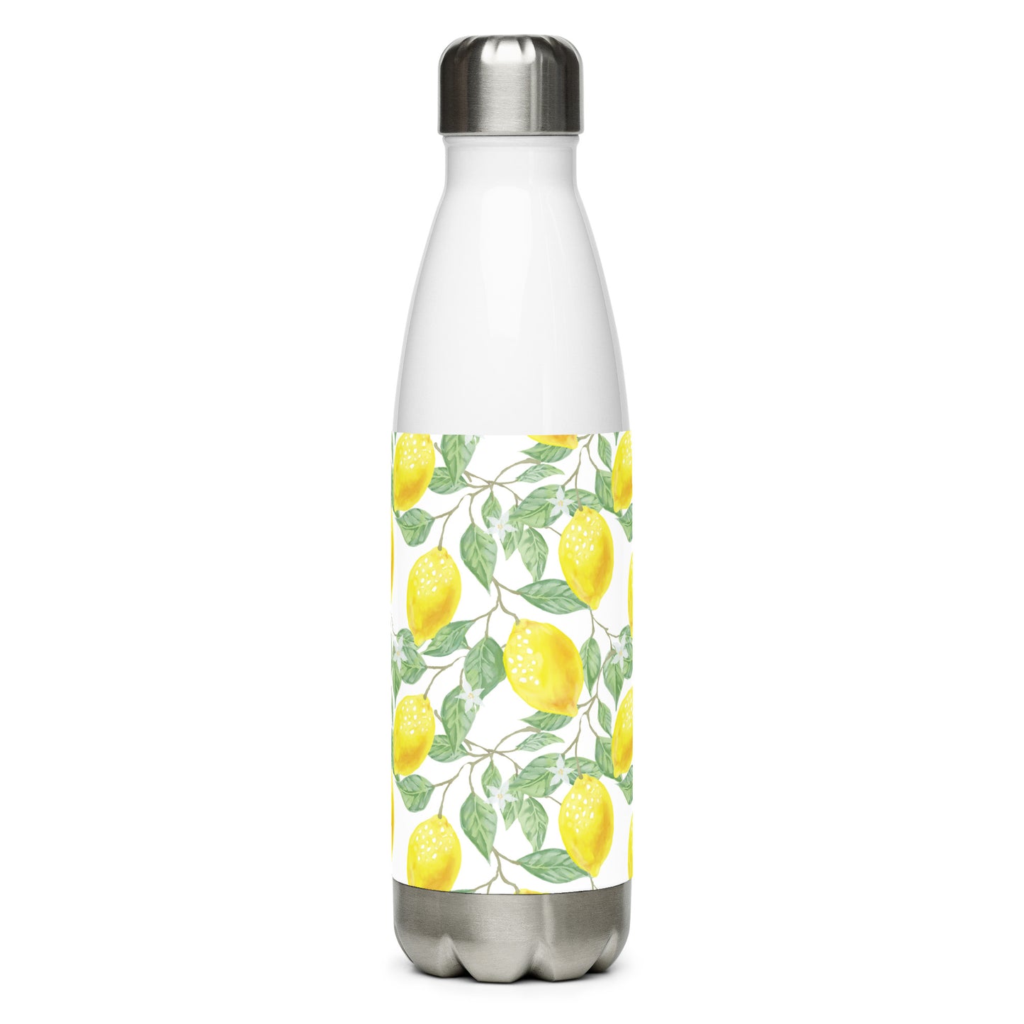 Stainless steel water bottle