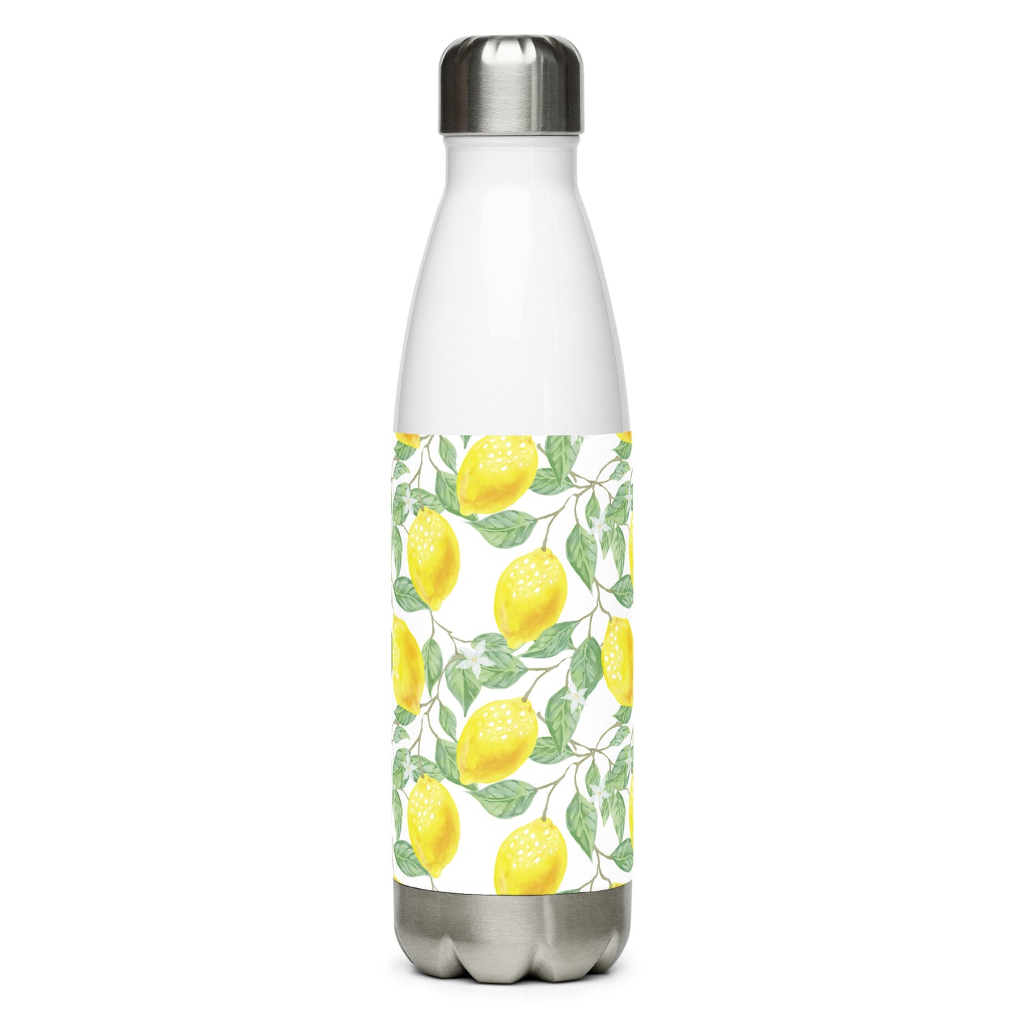 Stainless steel water bottle